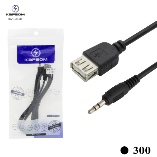 Cabo Auxiliar e USB 1,5m (EMBALADO) Cabo Auxiliar e USB 1,5m (EMBALADO)